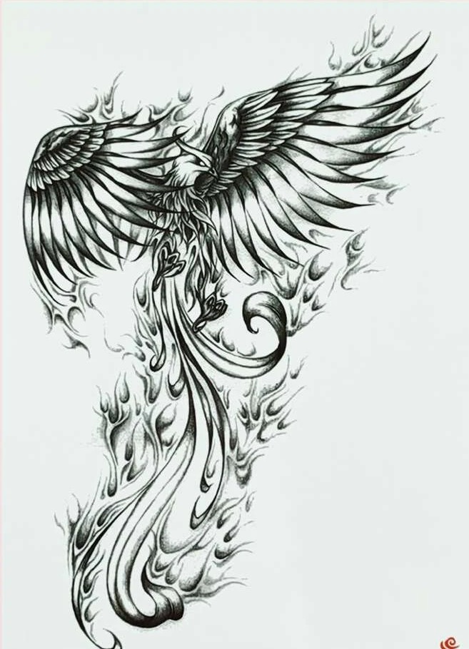 Dočasné tetovanie -  Phoenix 