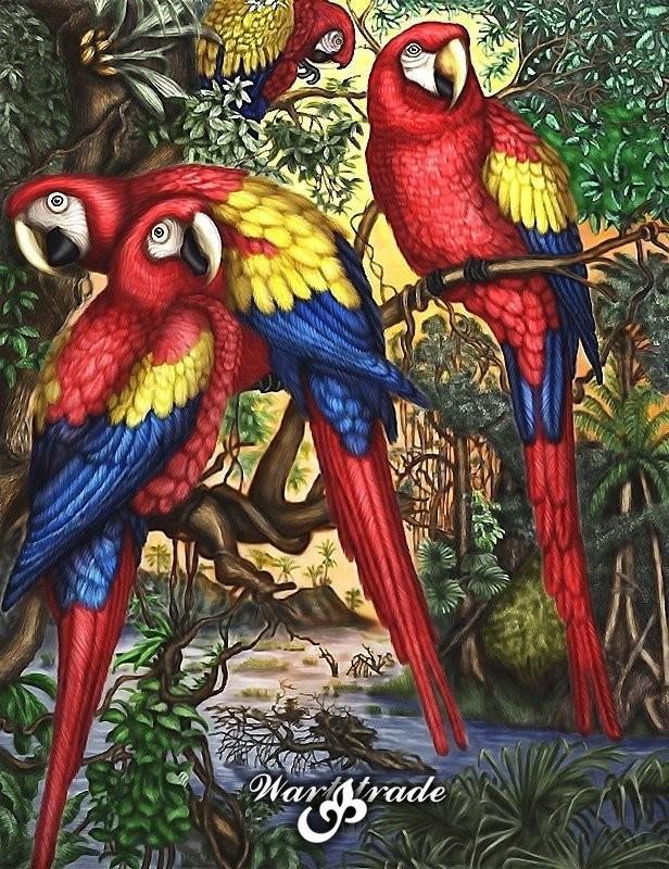 Diamantové maľovanie obraz papagájov a rastlín