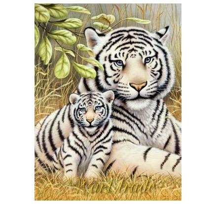 Maľovanie podľa čísel - Tiger-matka s mláďaťom