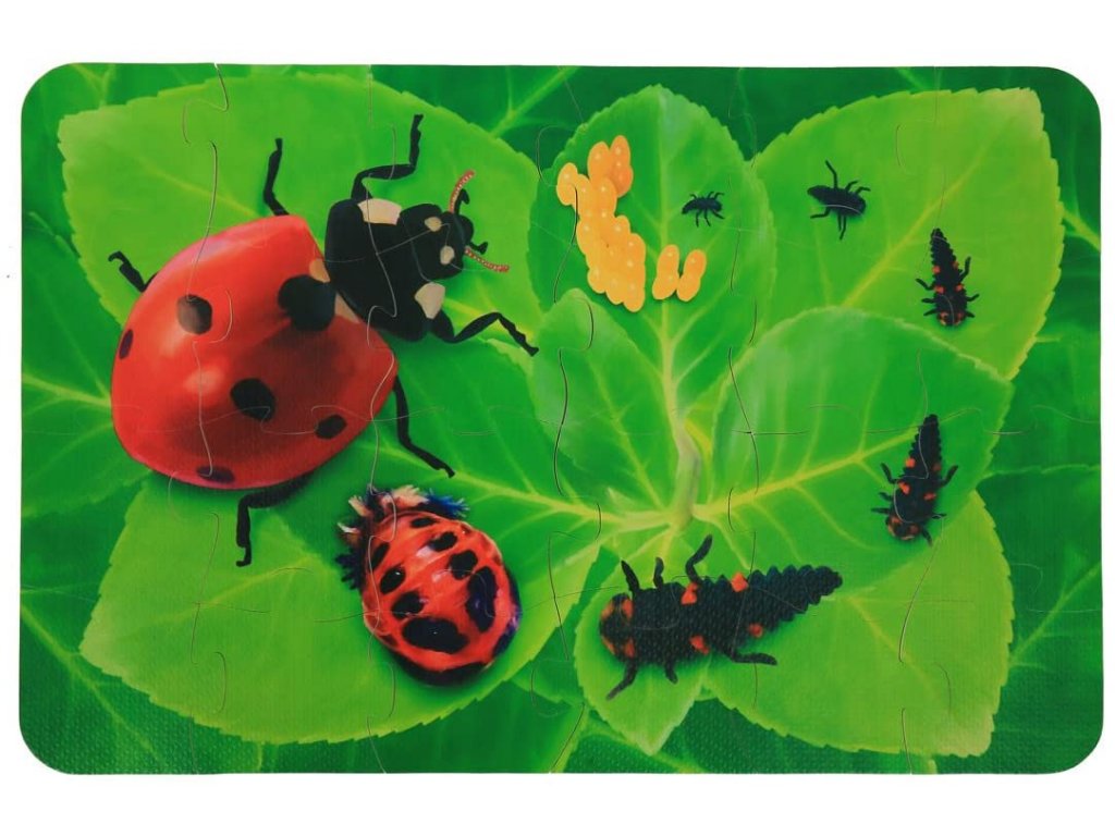 Insect Lore MEGA penové puzzle - Lienka