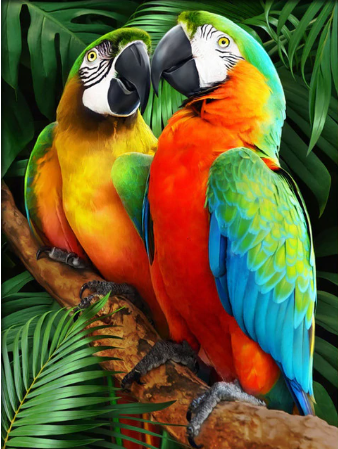 5D diamantové maľovanie Papagáj 4