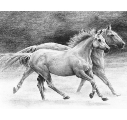 Maľovanie SKICOVACÍMI ceruzkou-Bežiaci kone