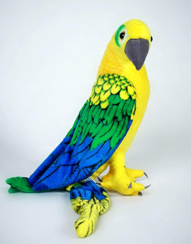 Papagáj ARA zelený
