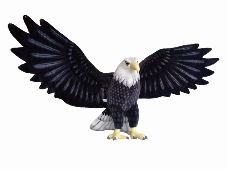 Orol s rozpätie krídel 150 cm