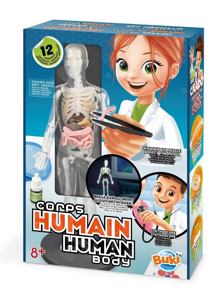 Buki Ľudské telo