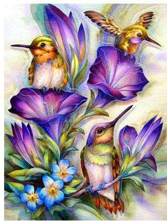 5D diamantové maľovanie kolibríky
