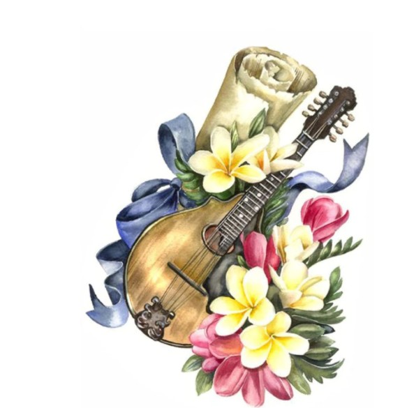 Diamantové maľovanie kvety a gitara