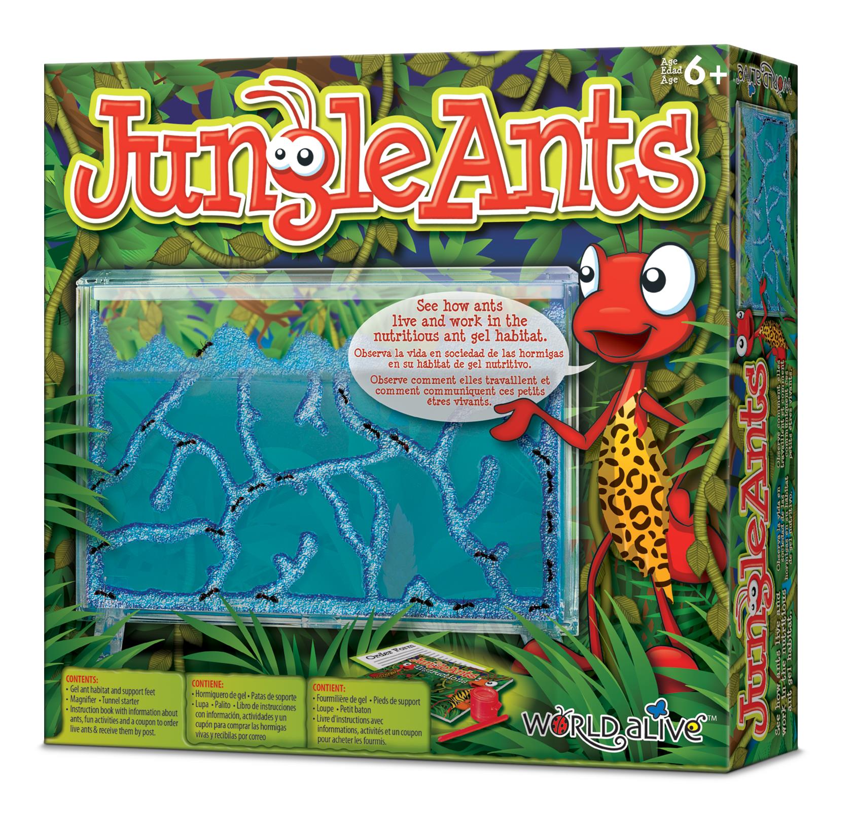 Jungle Ants - gélové mravenisko