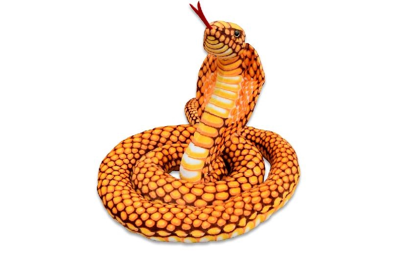 Kobra zlatá 280 cm