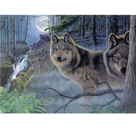 Maľovanie podľa čísel 40x32cm - Vlci v noci