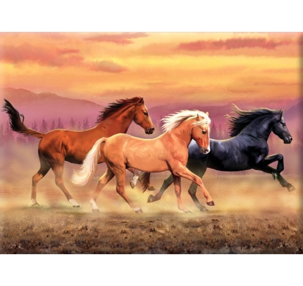 Maľovanie podľa čísel 30x40 cm - Bežiace kone