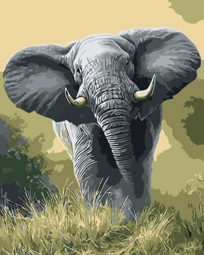 Diamantové maľovanie slon 11