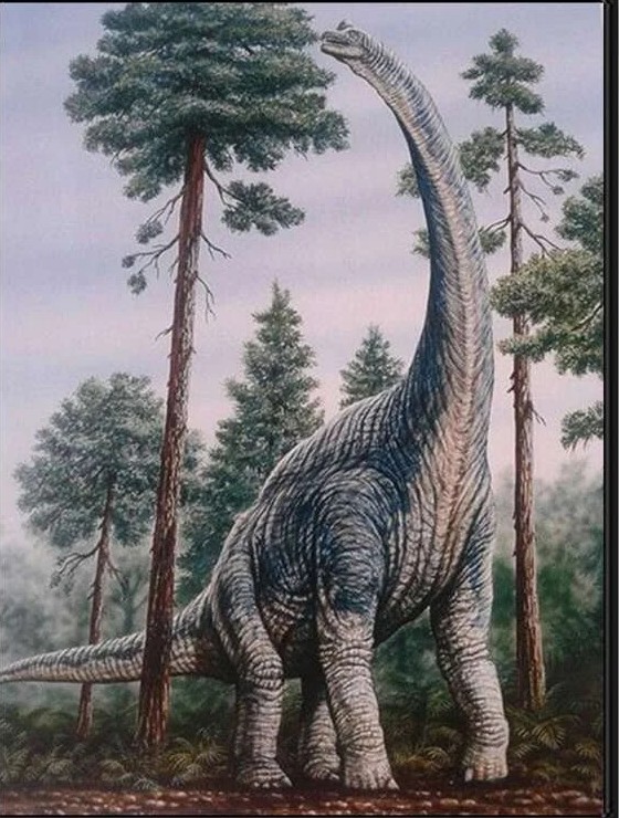 Diamantové maľovanie Brontosaurus