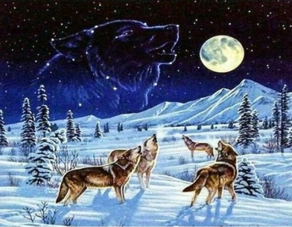 Diamantové maľovanie Vlci v zime