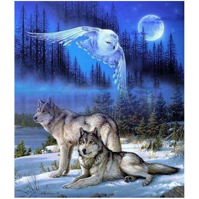 Diamantové maľovanie Vlci a sova