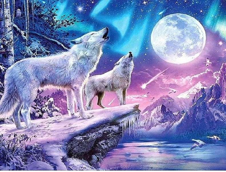 Diamantové maľovanie Dvaja vlci