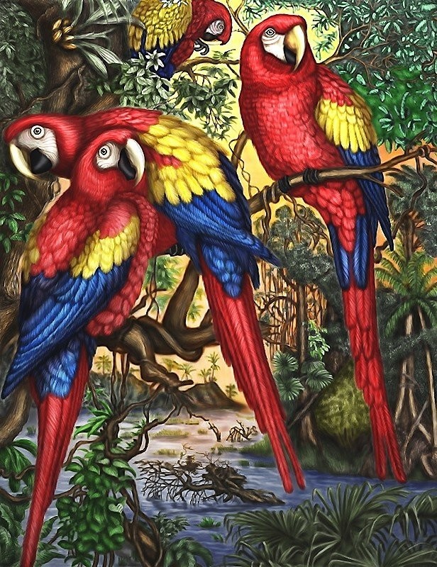 Diamantové maľovanie obraz papagájov a rastlín