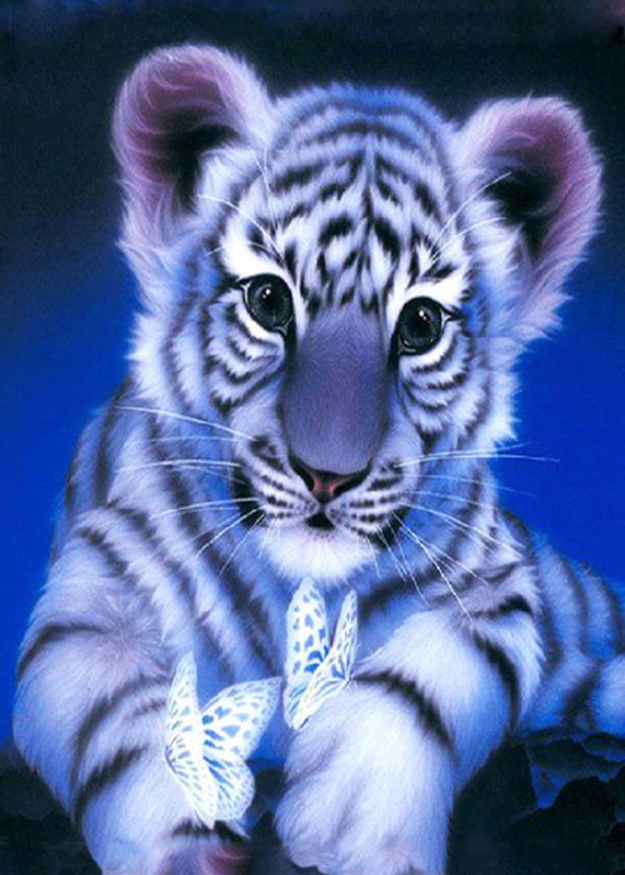 Diamantové maľovanie svietiace v tme - Tigrík s motýlikom