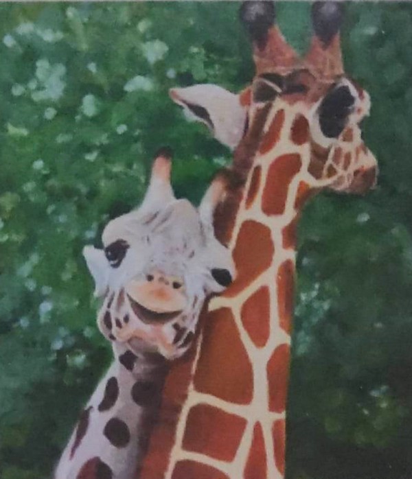 Diamantové maľovanie žirafy