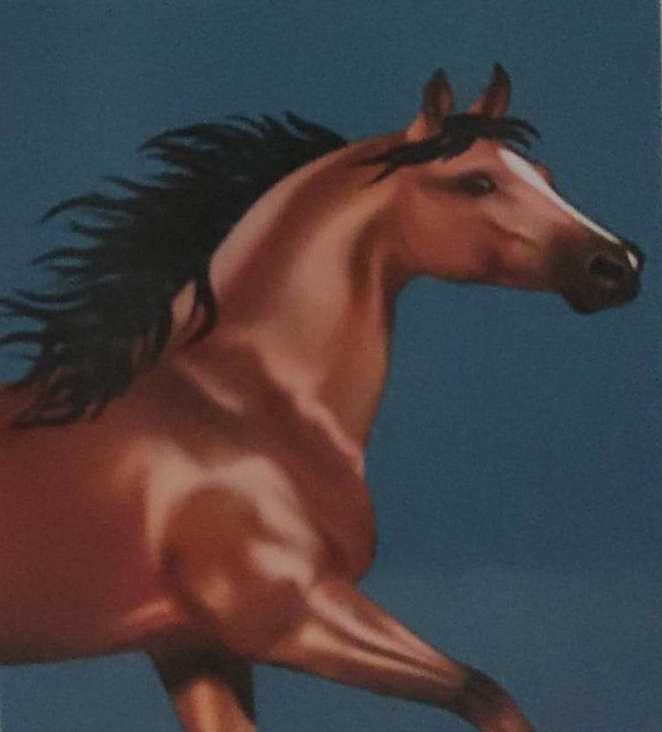 Diamantové maľovanie bežiaci kôň