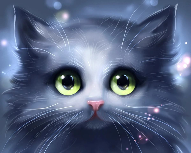 Diamantové maľovanie Vydesená mačka
