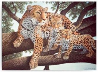 Maľovanie podľa číselného Leopard s mláďatami